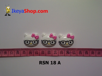 rsn 18 A  large2